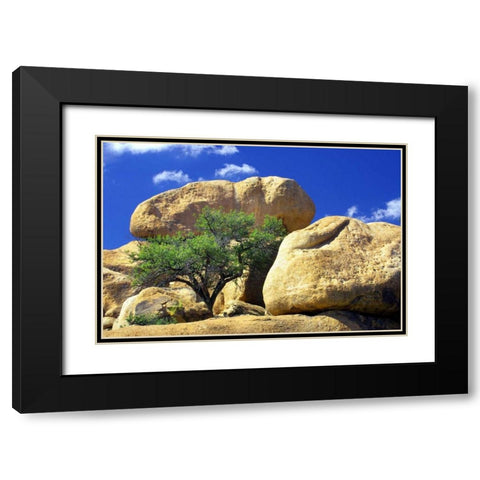 Texas Canyon Rocks II Black Modern Wood Framed Art Print with Double Matting by Taylor, Douglas