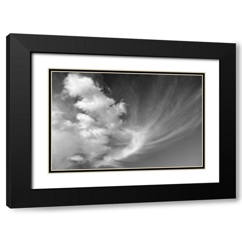 Clouds over Kitt Peak BW I Black Modern Wood Framed Art Print with Double Matting by Taylor, Douglas