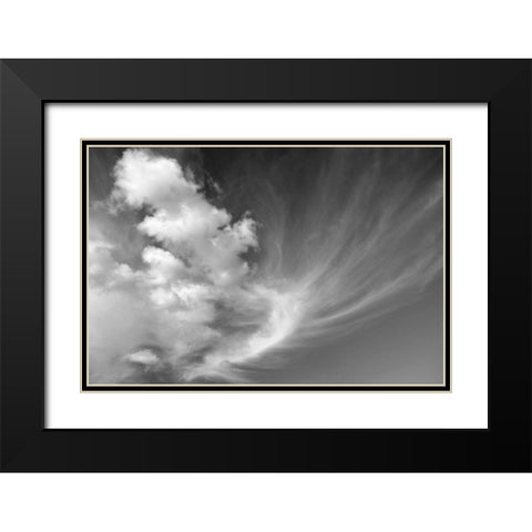 Clouds over Kitt Peak BW I Black Modern Wood Framed Art Print with Double Matting by Taylor, Douglas