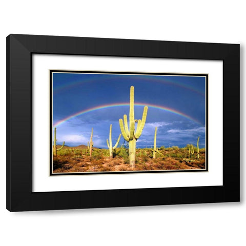 Desert Blessing I Black Modern Wood Framed Art Print with Double Matting by Taylor, Douglas