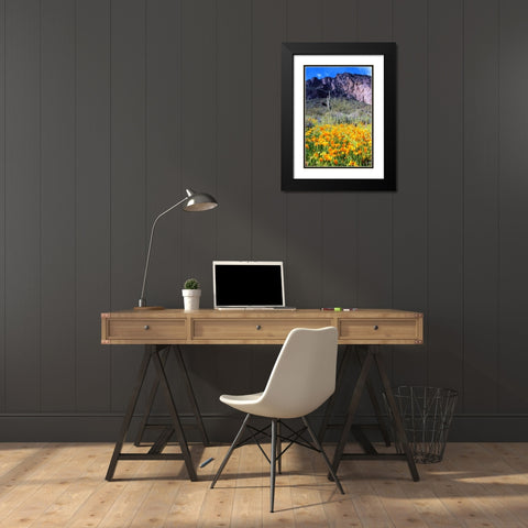 Picacho Peak Wildflowers Black Modern Wood Framed Art Print with Double Matting by Taylor, Douglas
