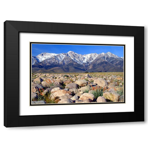 Independence Morning Black Modern Wood Framed Art Print with Double Matting by Taylor, Douglas
