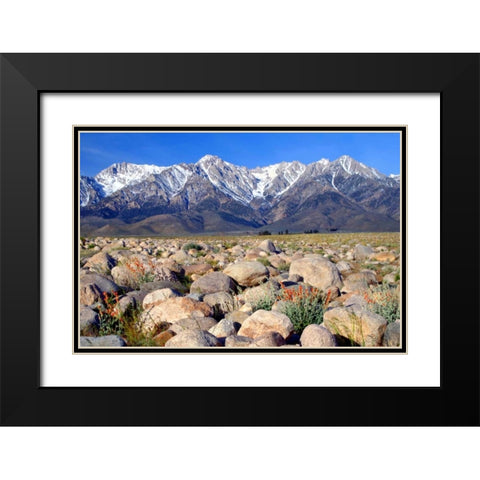 Independence Morning Black Modern Wood Framed Art Print with Double Matting by Taylor, Douglas