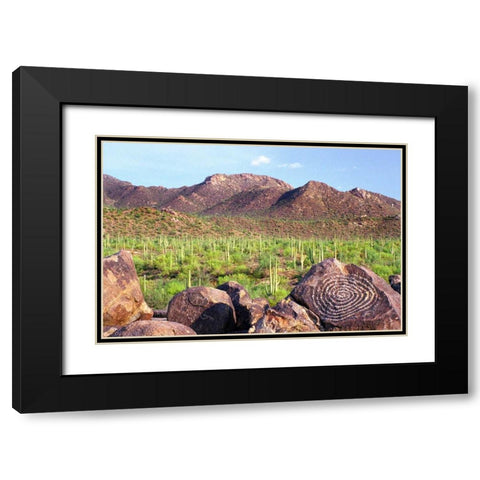 Signal Hill Black Modern Wood Framed Art Print with Double Matting by Taylor, Douglas