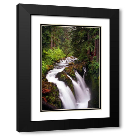 Sol Duc River Falls Black Modern Wood Framed Art Print with Double Matting by Taylor, Douglas