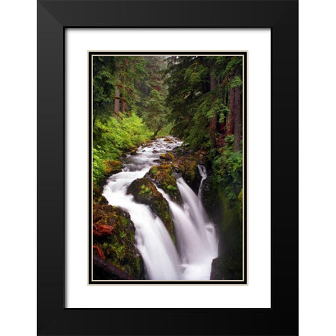 Sol Duc River Falls Black Modern Wood Framed Art Print with Double Matting by Taylor, Douglas