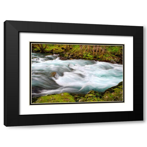 Rainforest River II Black Modern Wood Framed Art Print with Double Matting by Taylor, Douglas