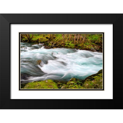 Rainforest River II Black Modern Wood Framed Art Print with Double Matting by Taylor, Douglas