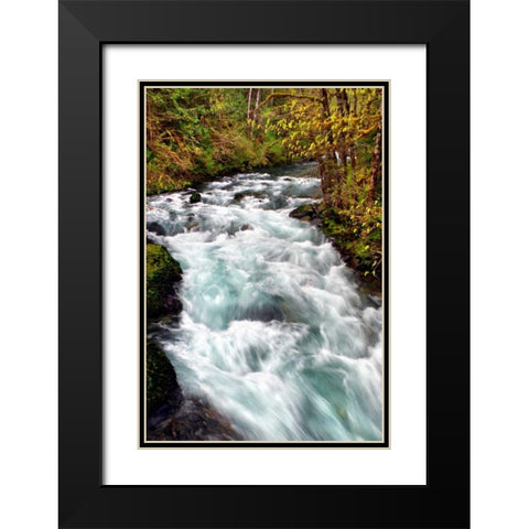 Hamma Hamma River Black Modern Wood Framed Art Print with Double Matting by Taylor, Douglas