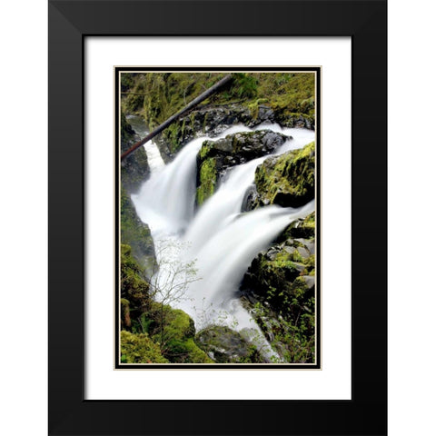 Sol Duc Falls I Black Modern Wood Framed Art Print with Double Matting by Taylor, Douglas