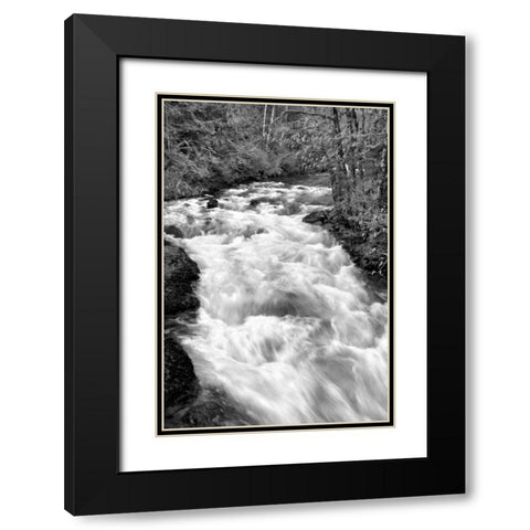 Hamma Hamma River BW Black Modern Wood Framed Art Print with Double Matting by Taylor, Douglas
