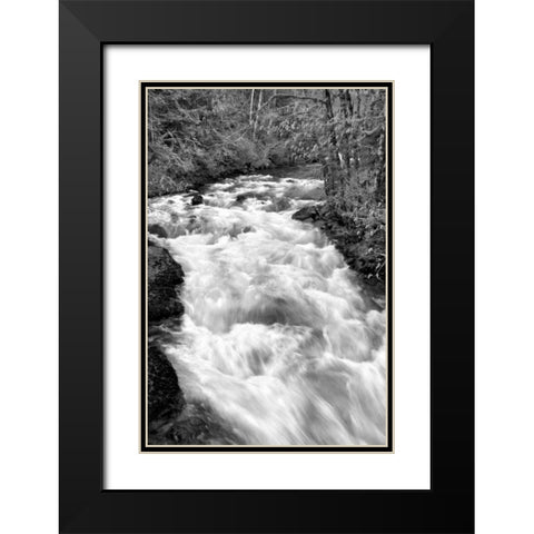 Hamma Hamma River BW Black Modern Wood Framed Art Print with Double Matting by Taylor, Douglas