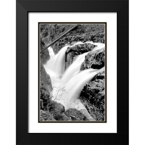 Sol Duc Falls I BW Black Modern Wood Framed Art Print with Double Matting by Taylor, Douglas