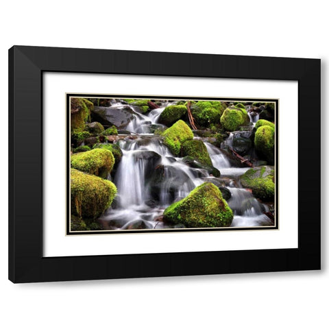 Trailside Stream Black Modern Wood Framed Art Print with Double Matting by Taylor, Douglas