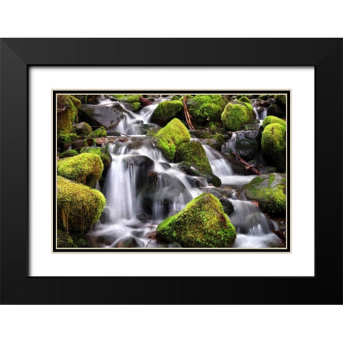 Trailside Stream Black Modern Wood Framed Art Print with Double Matting by Taylor, Douglas