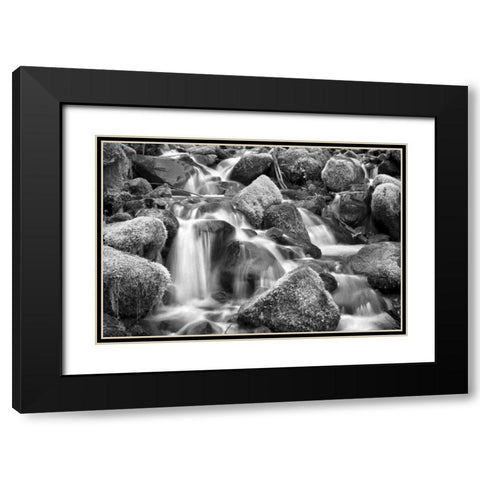 Trailside Stream BW Black Modern Wood Framed Art Print with Double Matting by Taylor, Douglas