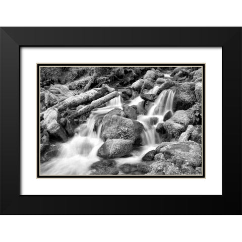 Forest Stream BW Black Modern Wood Framed Art Print with Double Matting by Taylor, Douglas