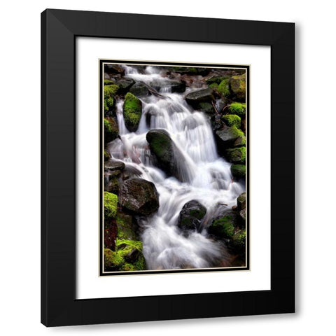 Trailside Waterfall I Black Modern Wood Framed Art Print with Double Matting by Taylor, Douglas