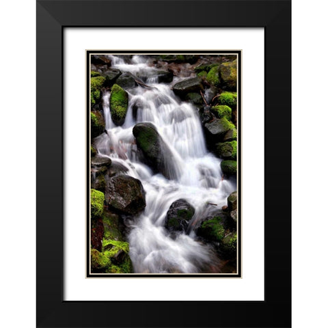 Trailside Waterfall I Black Modern Wood Framed Art Print with Double Matting by Taylor, Douglas