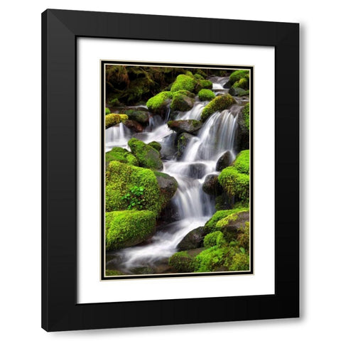 Trailside Waterfall II Black Modern Wood Framed Art Print with Double Matting by Taylor, Douglas
