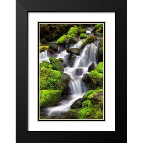 Trailside Waterfall II Black Modern Wood Framed Art Print with Double Matting by Taylor, Douglas