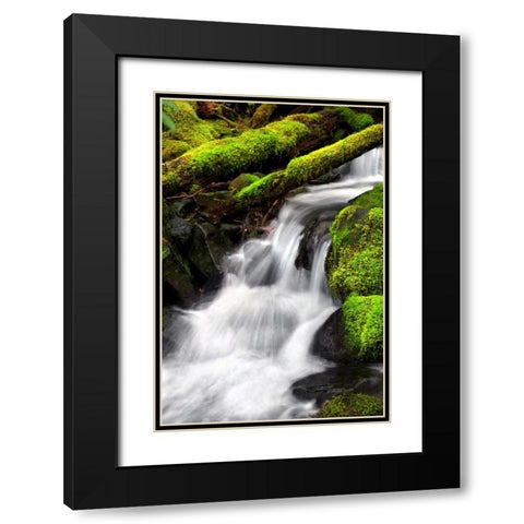 Trailside Waterfall III Black Modern Wood Framed Art Print with Double Matting by Taylor, Douglas