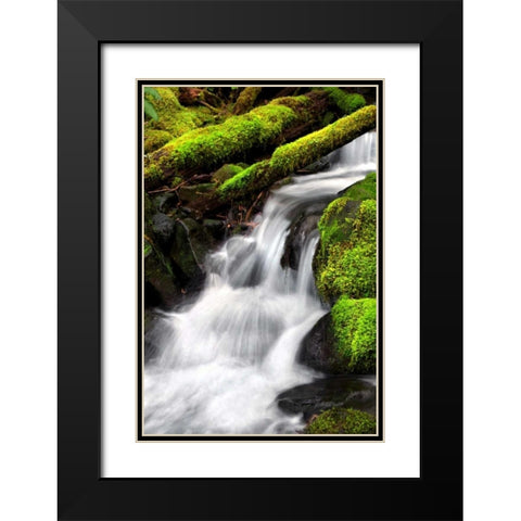 Trailside Waterfall III Black Modern Wood Framed Art Print with Double Matting by Taylor, Douglas