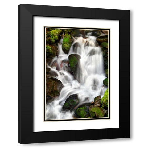 Trailside Waterfall IV Black Modern Wood Framed Art Print with Double Matting by Taylor, Douglas