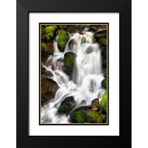 Trailside Waterfall IV Black Modern Wood Framed Art Print with Double Matting by Taylor, Douglas