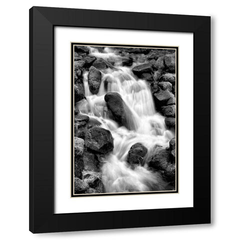 Trailside Waterfall I BW Black Modern Wood Framed Art Print with Double Matting by Taylor, Douglas