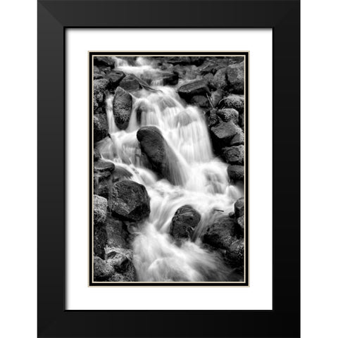 Trailside Waterfall I BW Black Modern Wood Framed Art Print with Double Matting by Taylor, Douglas