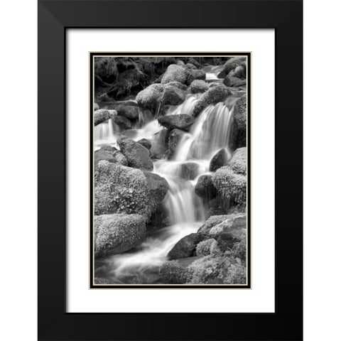 Trailside Waterfall II BW Black Modern Wood Framed Art Print with Double Matting by Taylor, Douglas