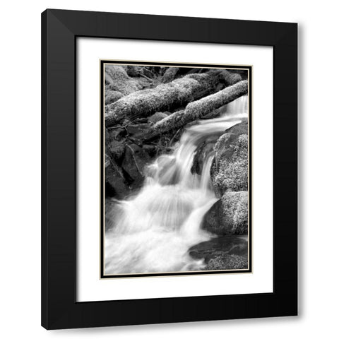 Trailside Waterfall III BW Black Modern Wood Framed Art Print with Double Matting by Taylor, Douglas