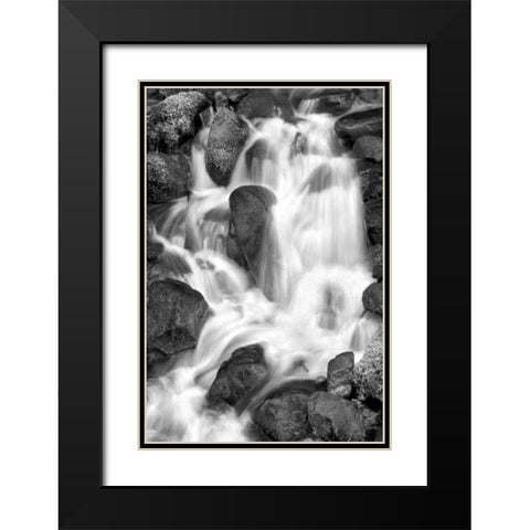 Trailside Waterfall IV BW Black Modern Wood Framed Art Print with Double Matting by Taylor, Douglas