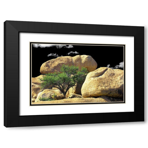 Texas Canyon Rox and Rolls Black Modern Wood Framed Art Print with Double Matting by Taylor, Douglas