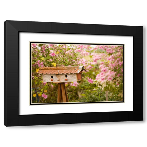 Bird House I Black Modern Wood Framed Art Print with Double Matting by Clayton-Thompson, Philip