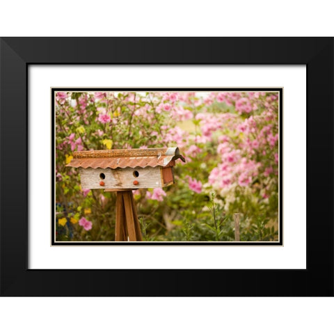 Bird House I Black Modern Wood Framed Art Print with Double Matting by Clayton-Thompson, Philip