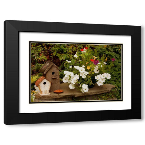 Bird House II Black Modern Wood Framed Art Print with Double Matting by Clayton-Thompson, Philip