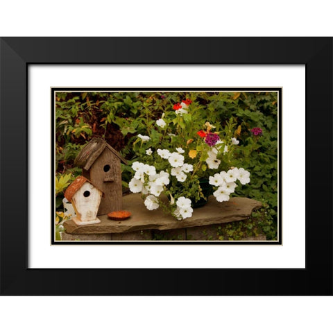 Bird House II Black Modern Wood Framed Art Print with Double Matting by Clayton-Thompson, Philip