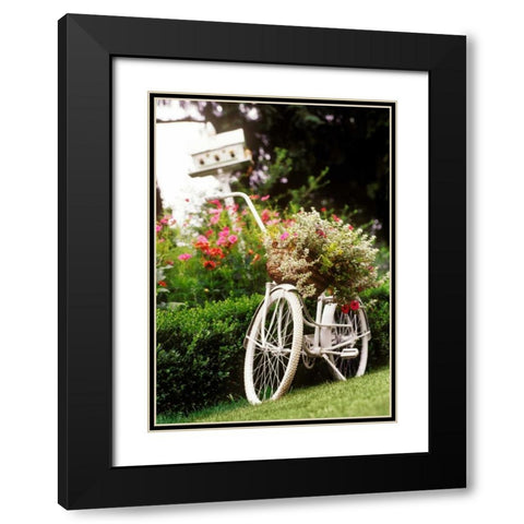 Vintage Bicycle I Black Modern Wood Framed Art Print with Double Matting by Clayton-Thompson, Philip