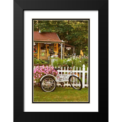 Vintage Bicycle III Black Modern Wood Framed Art Print with Double Matting by Clayton-Thompson, Philip