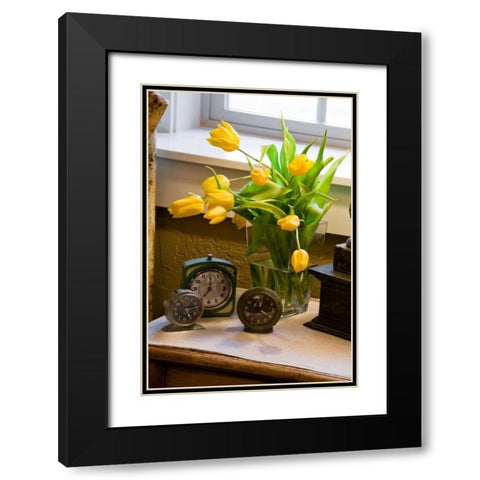 Yellow Tulips I Black Modern Wood Framed Art Print with Double Matting by Clayton-Thompson, Philip