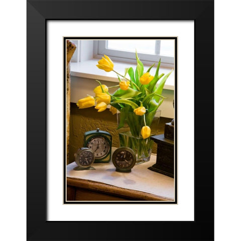Yellow Tulips I Black Modern Wood Framed Art Print with Double Matting by Clayton-Thompson, Philip