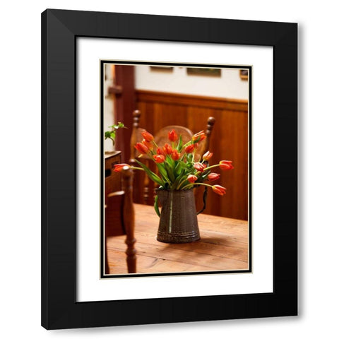 Fresh Tulips I Black Modern Wood Framed Art Print with Double Matting by Clayton-Thompson, Philip