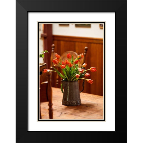 Fresh Tulips I Black Modern Wood Framed Art Print with Double Matting by Clayton-Thompson, Philip