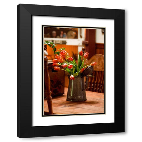 Fresh Tulips II Black Modern Wood Framed Art Print with Double Matting by Clayton-Thompson, Philip