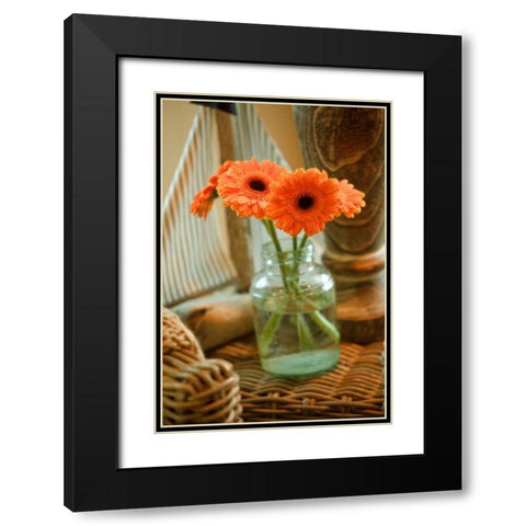 Fresh Picked I Black Modern Wood Framed Art Print with Double Matting by Clayton-Thompson, Philip