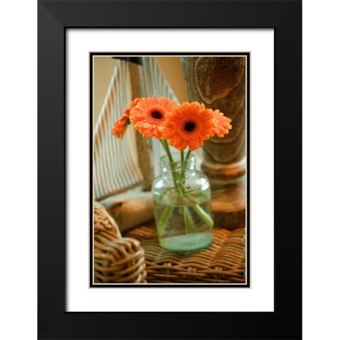 Fresh Picked I Black Modern Wood Framed Art Print with Double Matting by Clayton-Thompson, Philip