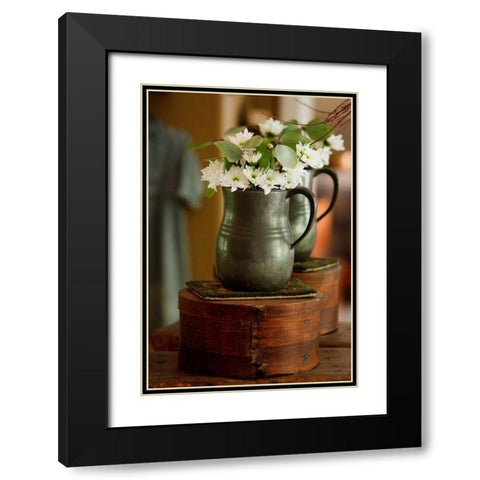 Daisy Bouquet I Black Modern Wood Framed Art Print with Double Matting by Clayton-Thompson, Philip