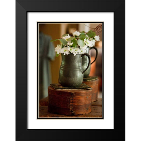 Daisy Bouquet I Black Modern Wood Framed Art Print with Double Matting by Clayton-Thompson, Philip